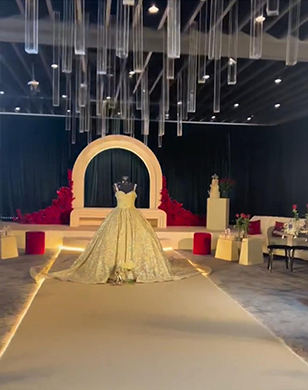 حفلات جالا حصرية